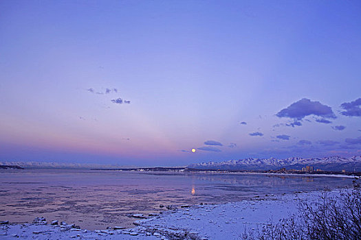 日落,上方,库克海峡,满月,冬天