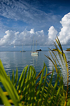加勒比,帆船,蓝色,湾,格林纳达