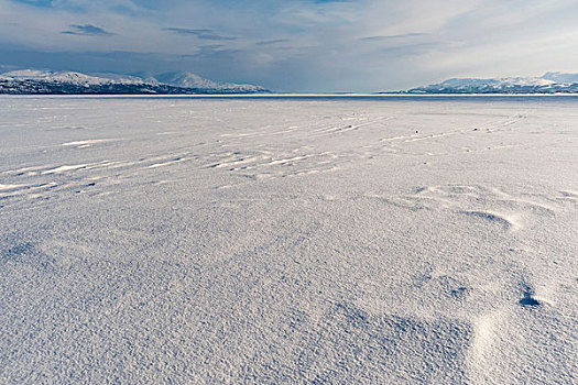 湖,国家公园,瑞典