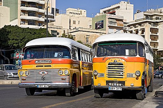 两个,巴士,街道,马耳他