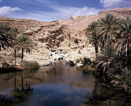 阿曼,旱谷,泉水,水塘,石头,水,阿拉伯半岛,阿拉伯