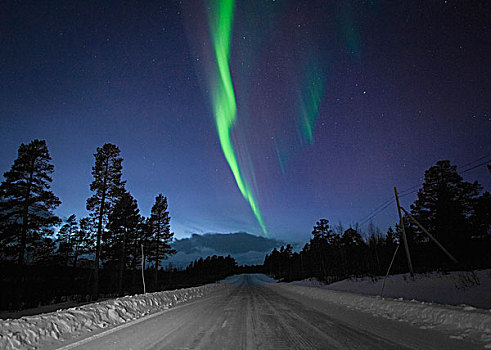 风景,北极光,上方,积雪,道路,剪影,树,夜晚