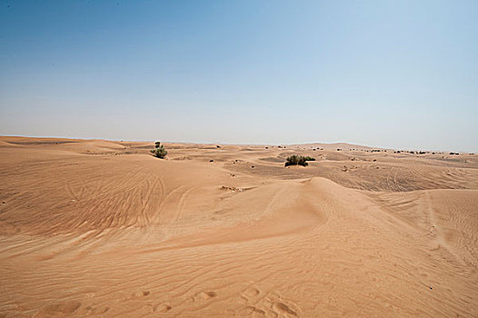 沙漠,户外,迪拜,阿联酋
