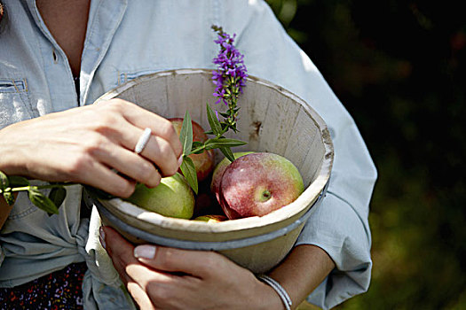 女人,拿着,陶器,碗,新鲜,苹果,小,毛地黄,花