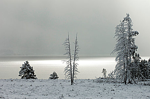 黄石湖,雪后,黄石国家公园,怀俄明,美国
