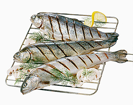 烤制食品,鲑鱼