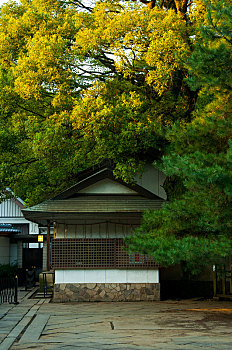 日本东京,上野东照宫,一旁的纪念品木屋也是历史建筑