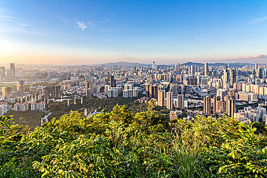 深圳后海夜景城市建筑天际线