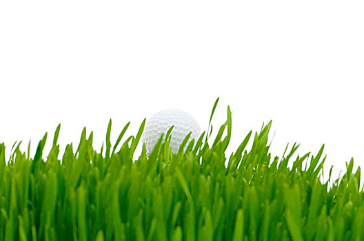 高尔夫球,草地,草