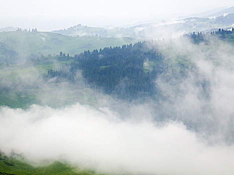 云雾天山