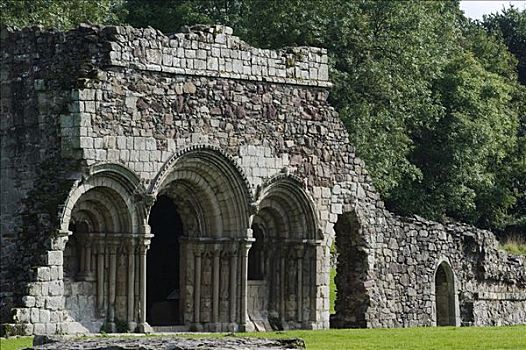 英格兰,什罗普郡,什鲁斯伯里,优雅,柱廊,教堂,12世纪,靠近