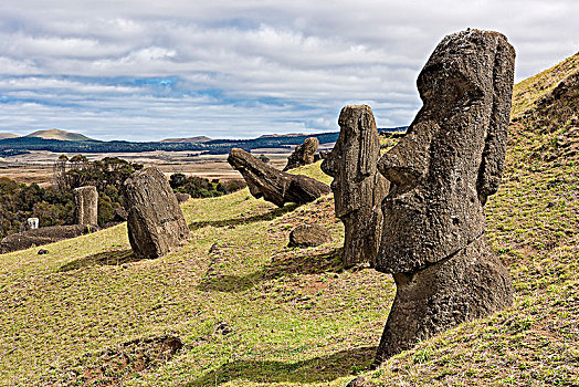复活节岛石像,拉诺拉拉库采石场,拉帕努伊国家公园,复活节岛,拉帕努伊,岛屿,智利,南美