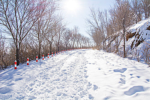 雪景