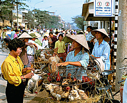 鸡,出售,市区,市场,越南