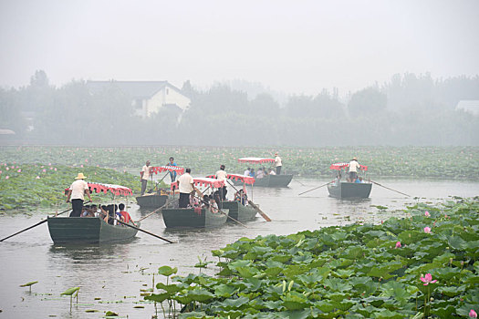 白洋淀旅游