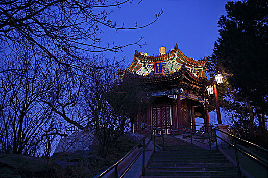 2017年1月31日北京西城区景山公园亭夜景