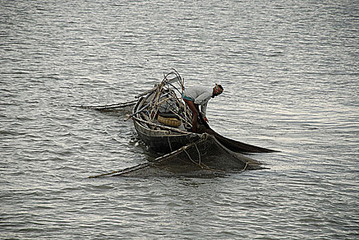 捕鱼,河,库尔纳市,孟加拉,二月,2008年