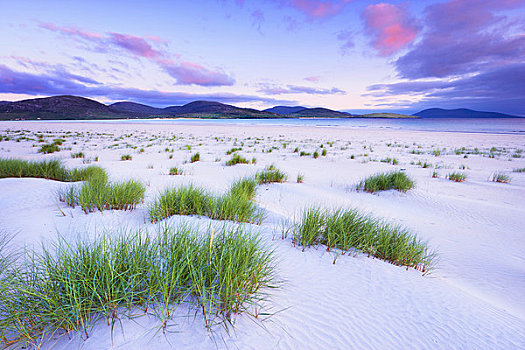 沙丘,日落,岛,苏格兰
