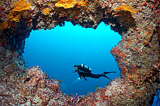 潜水,正面,洞穴,入口,环礁,印度洋,马尔代夫,亚洲