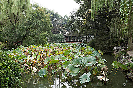 花园,苏州,江苏,中国