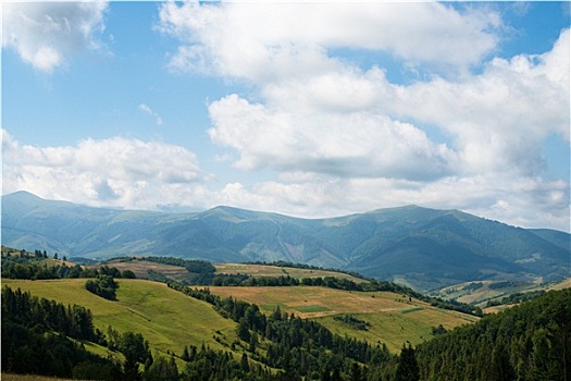 风景,乌克兰,喀尔巴阡山脉