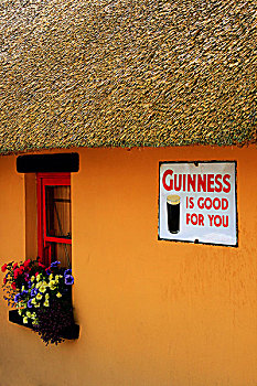 科克郡,爱尔兰,酒吧,户外,茅草屋顶