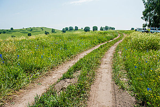 草原上的泥泞路