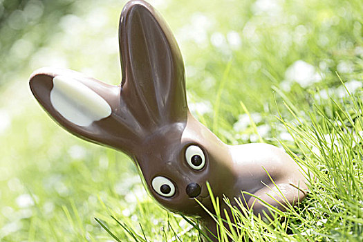 兔子,草地,序列,复活节兔子,野兔,巧克力,甜,食物,可爱,纯洁,复活节,聚会,传统