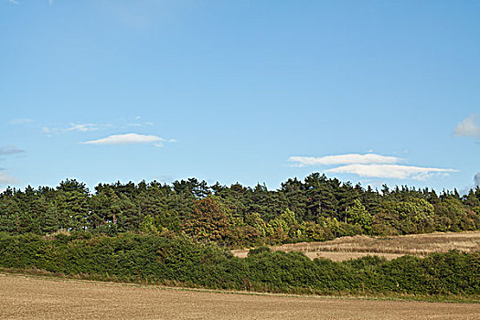 风景