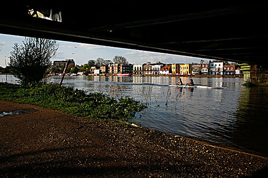 桨手,划船,桥,伦敦,英国