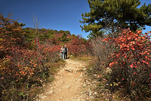 河北省石家庄市井陉县仙台山风景区