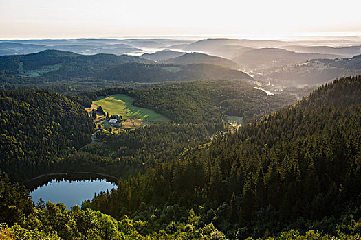 风景,东方,黑森林,巴登符腾堡,德国,欧洲