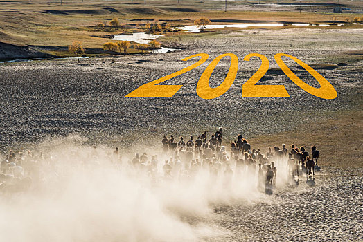 2020新年开始草原上万马奔腾背景