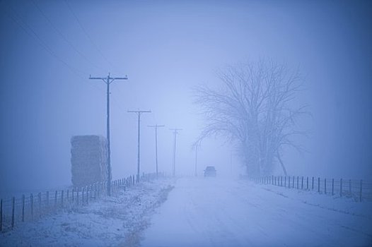 乡村道路,遮盖,雾,雪,蒙大拿,美国