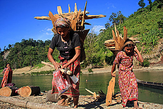 女人,女孩,木柴,堤岸,河,孟加拉,十二月,2009年