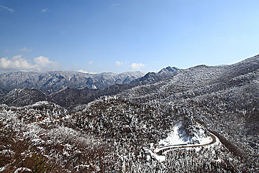 陕西秦岭沣峪雪景
