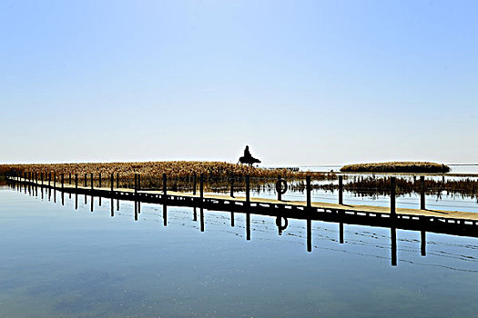 居延海