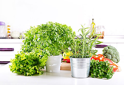 翠绿,药草,蔬菜,厨房