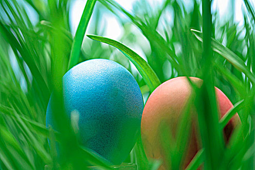 两个,复活节彩蛋,草丛