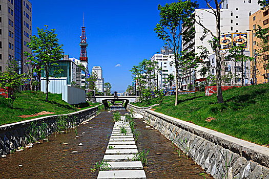 札幌,河,公园