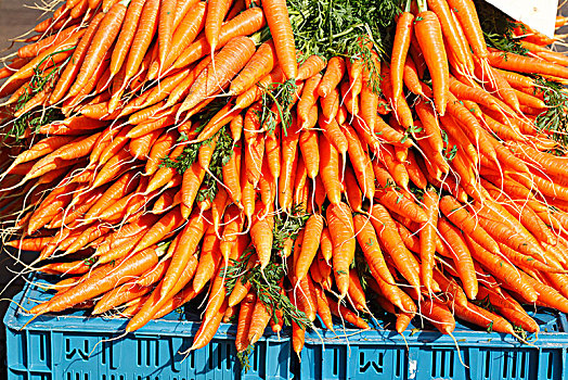 胡萝卜,市场货摊,不莱梅,德国,欧洲