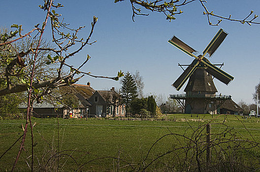 风车,农舍,上艾瑟尔省,荷兰