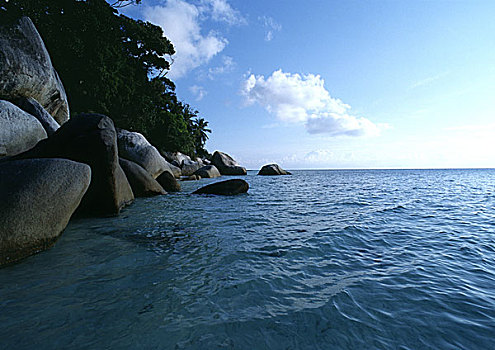 马来西亚,海洋,岩石,岸边