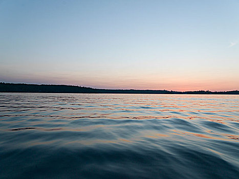 湖,表面,黄昏,木头,安大略省,加拿大