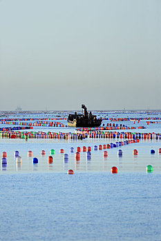 山东省日照市,渔民在一望无垠的海洋牧场上播撒希望