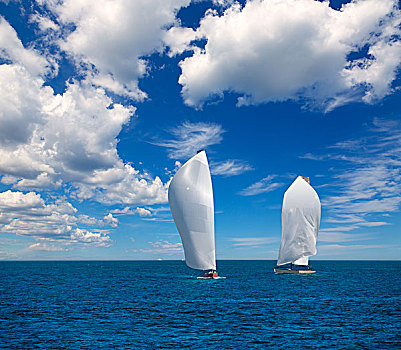 帆船,赛舟会,航行,地中海