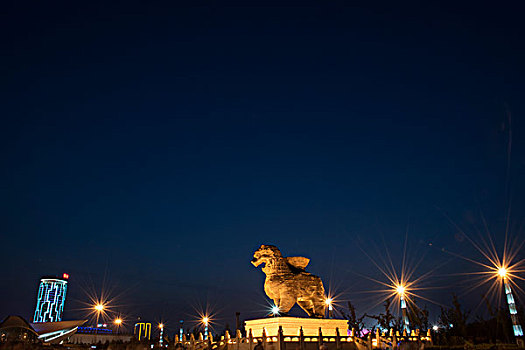 沧州铁狮子夜景
