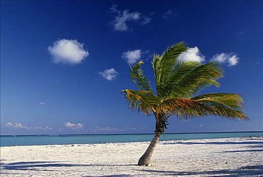 干盐湖,圣多明各,多米尼加共和国