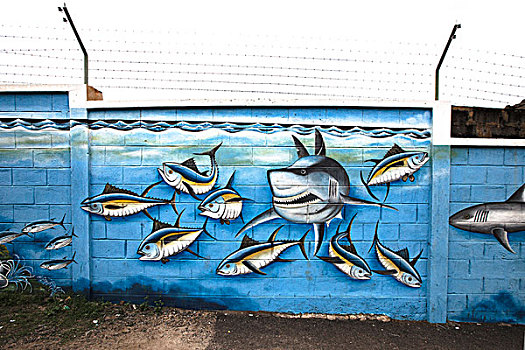涂鸦,鲨鱼,墙壁
