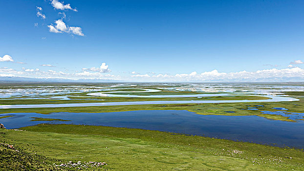 新疆风光-巴音布鲁克天鹅湖景区